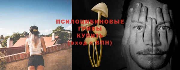 прущая мука Карпинск