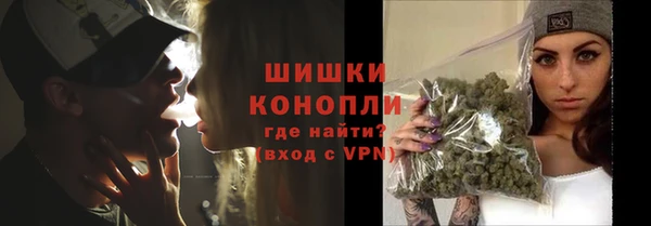прущие крисы Каменка