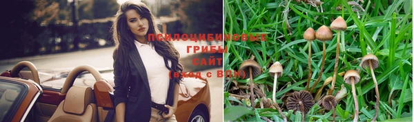 прущая мука Карпинск