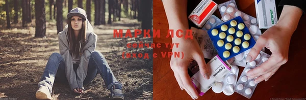 прущие крисы Каменка