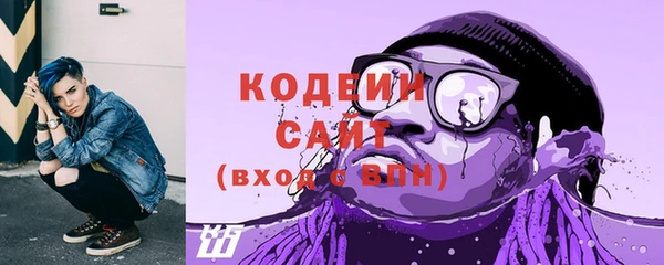 прущие крисы Каменка